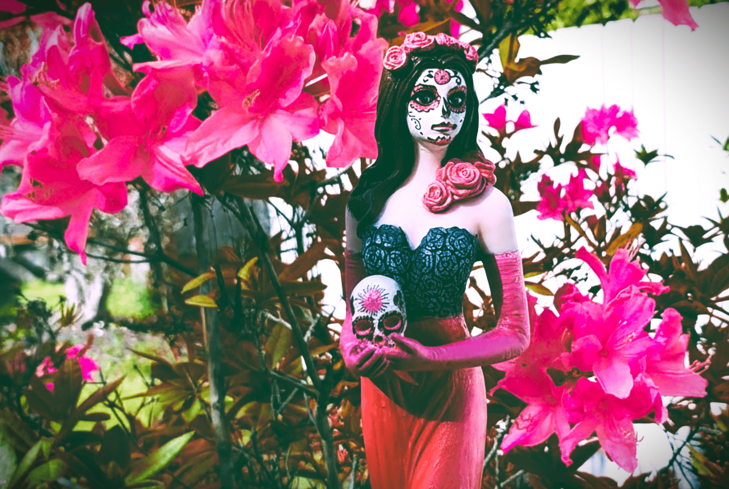 Woman with dark hair wearing catrina makeup and holding a painted skull, surrounded by vibrant pink flowers.